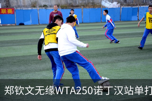 郑钦文无缘WTA250诺丁汉站单打八强
