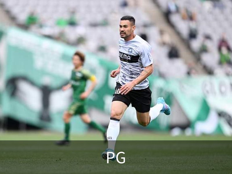 关于PG